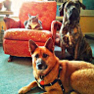 Meet your Posher, Callie